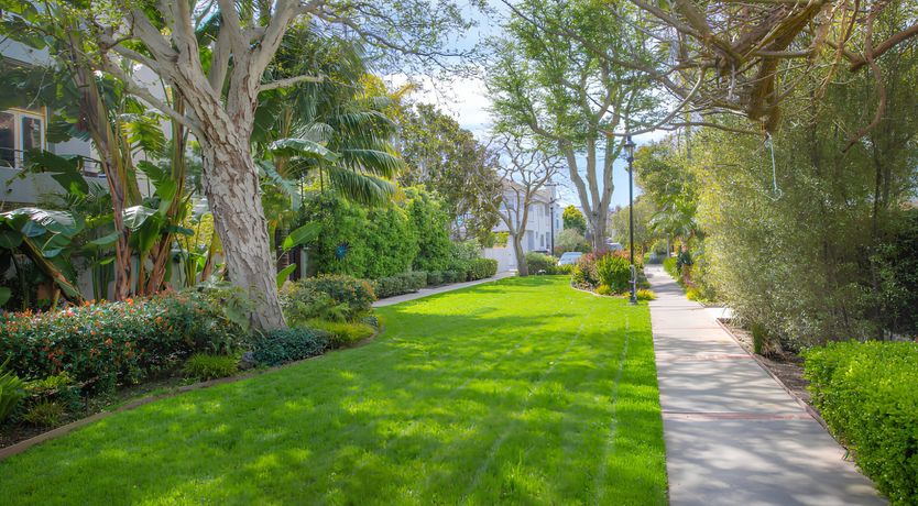 Photo of International Art