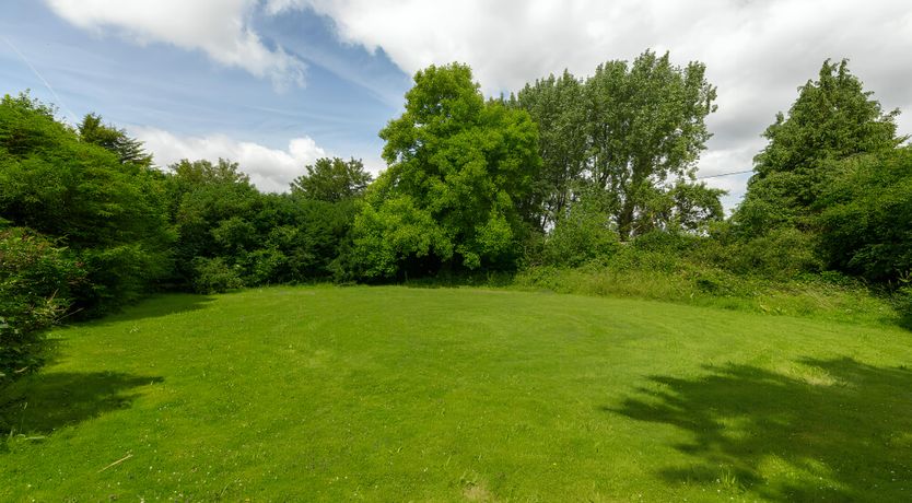 Photo of The Blue Bells