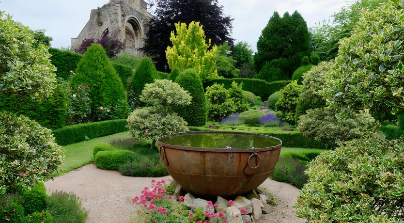 Photo of The Blue Bells