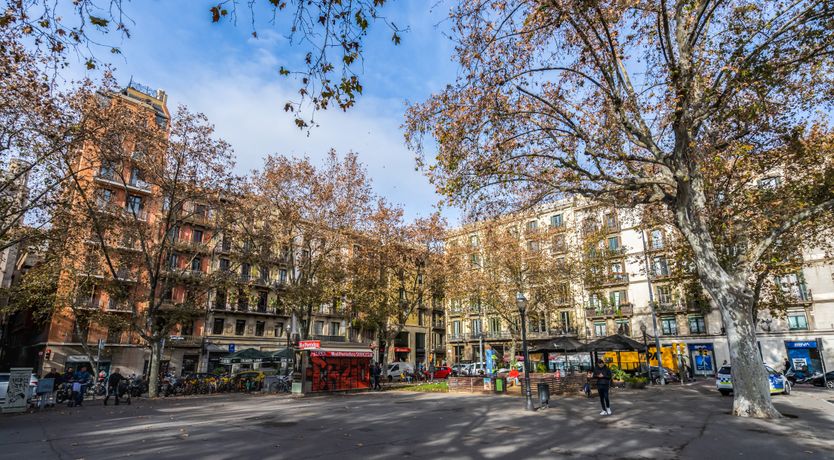 Photo of Pamplemousa