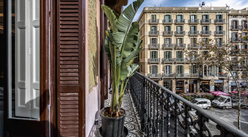 Photo of Pamplemousa