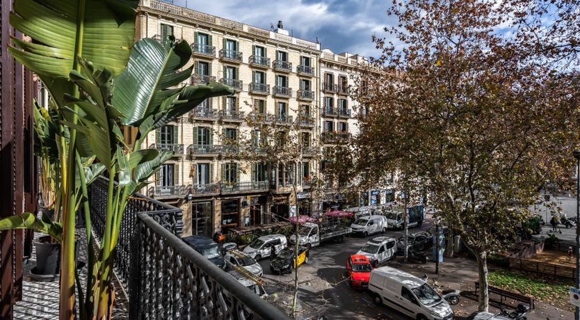 Photo of Pamplemousa