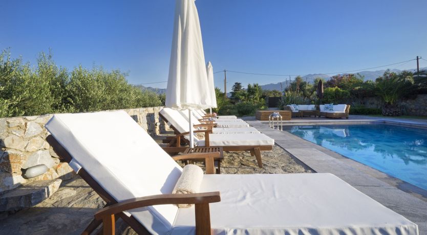 Photo of When Life Gives You Apricots