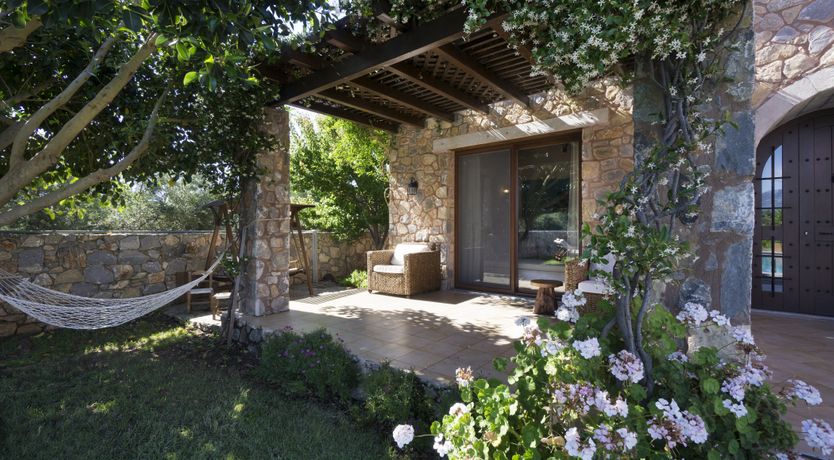 Photo of When Life Gives You Apricots