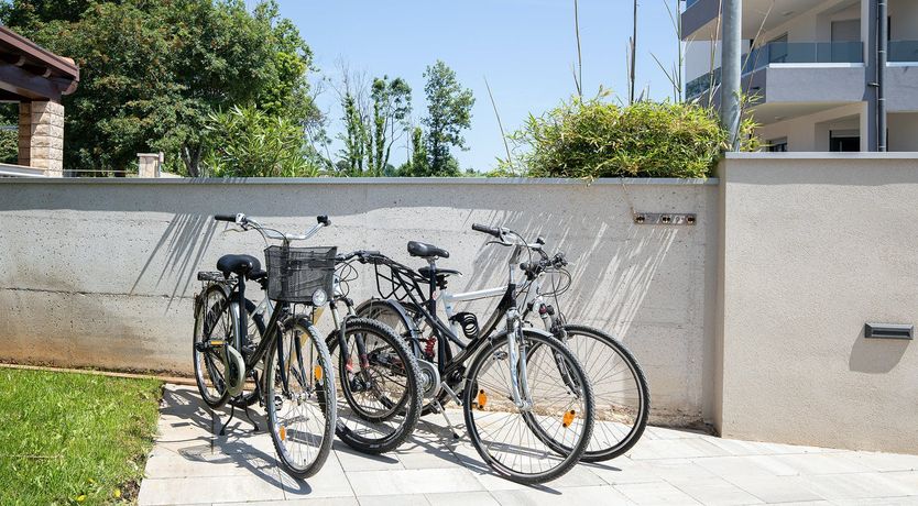 Photo of Bijeca Bliss