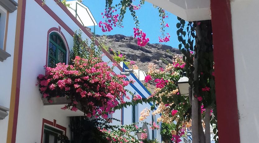 Photo of Little Venice Dawn