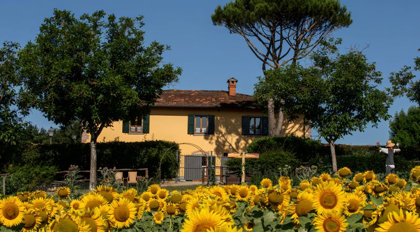 Photo of The Taste of Time