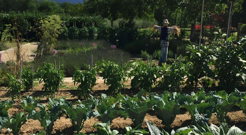 Photo of The Taste of Time