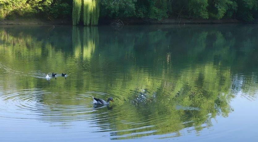 Photo of The Taste of Time