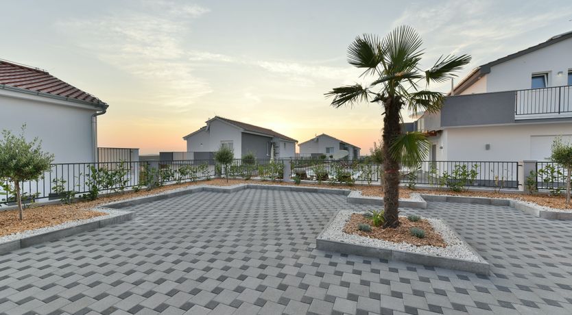 Photo of A Dream of Summer