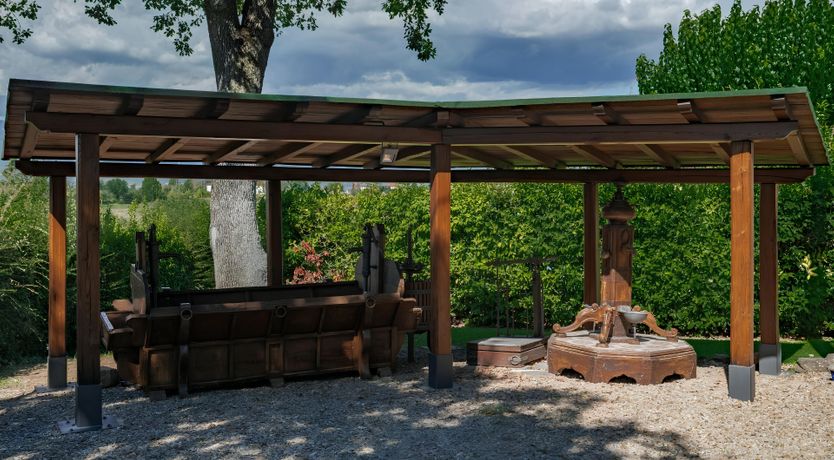 Photo of The Chard Rose