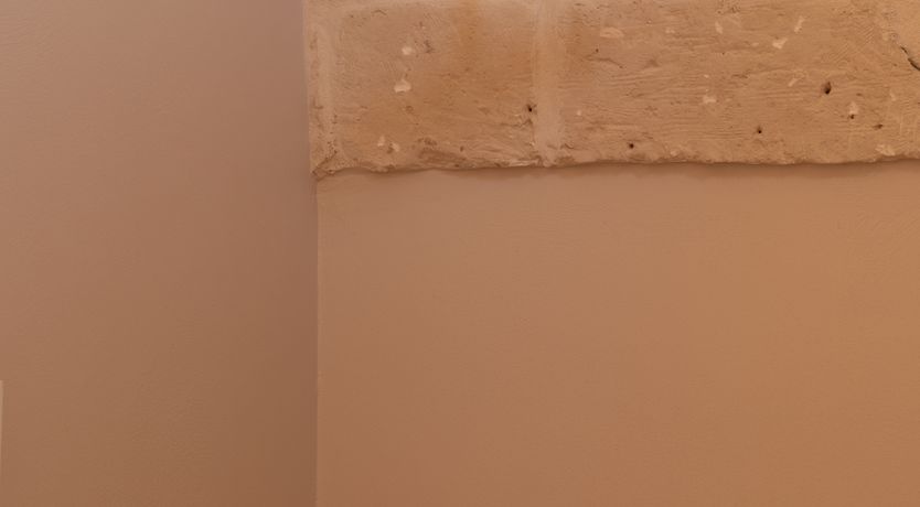 Photo of Pomegranate Wishes