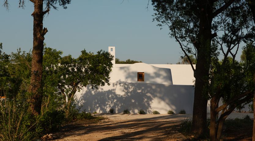 Photo of Pomegranate Wishes