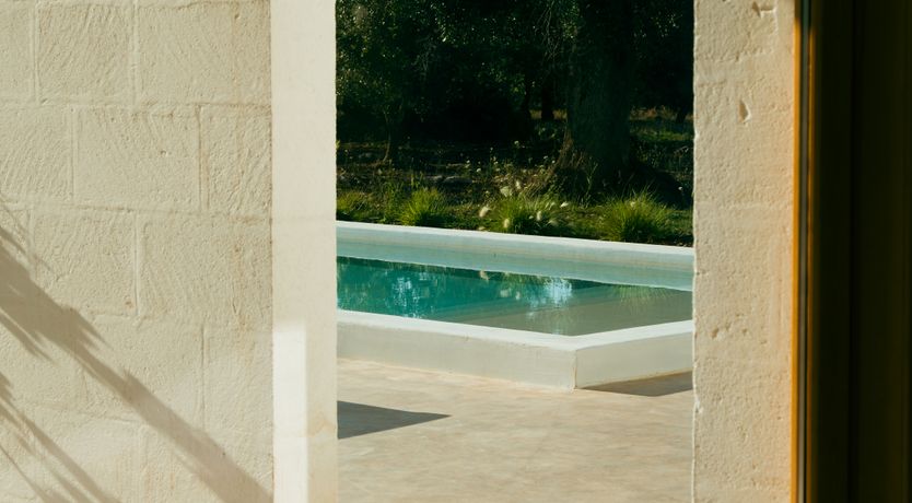 Photo of Pomegranate Wishes