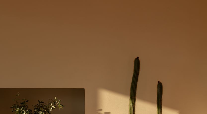 Photo of Pomegranate Wishes