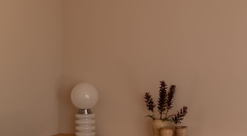 Photo of Pomegranate Wishes