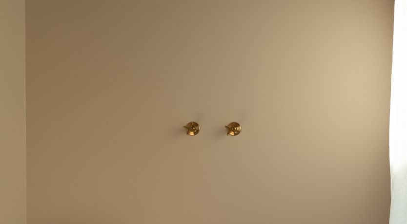 Photo of Pomegranate Wishes