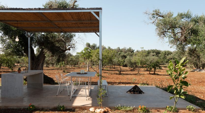 Photo of Pomegranate Wishes