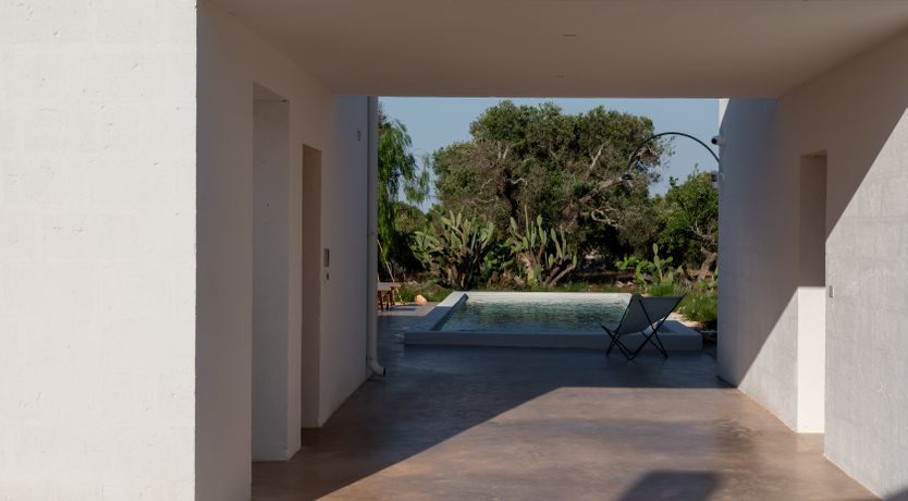 Photo of Pomegranate Wishes