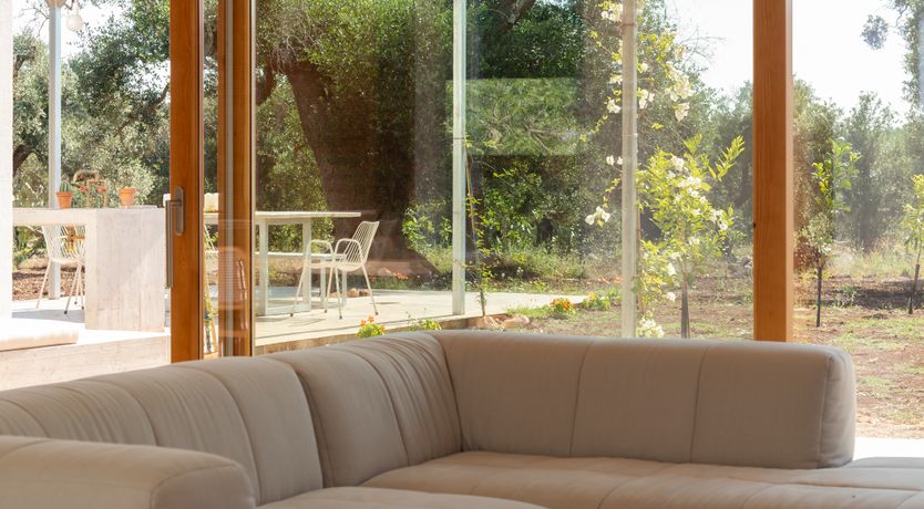 Photo of Pomegranate Wishes