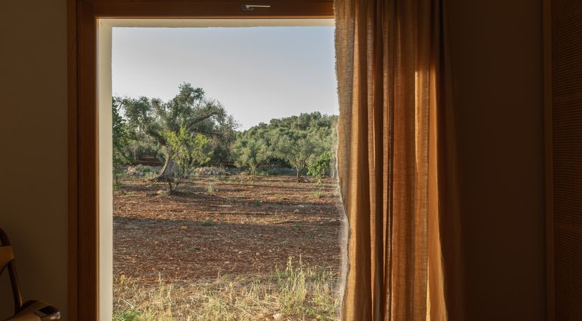 Photo of Pomegranate Wishes