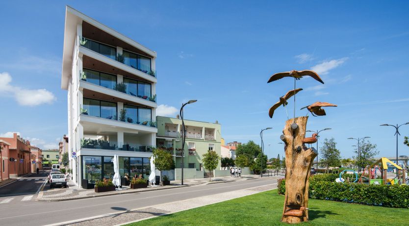 Photo of The Olive Jam