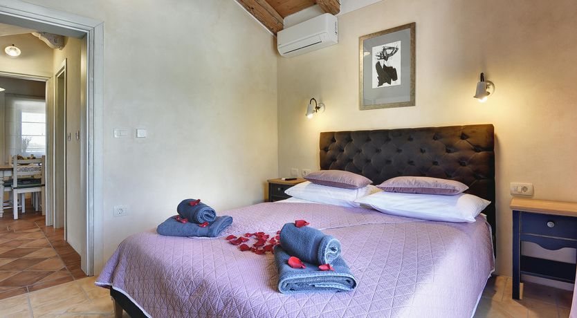 Photo of The Trees of the Moon