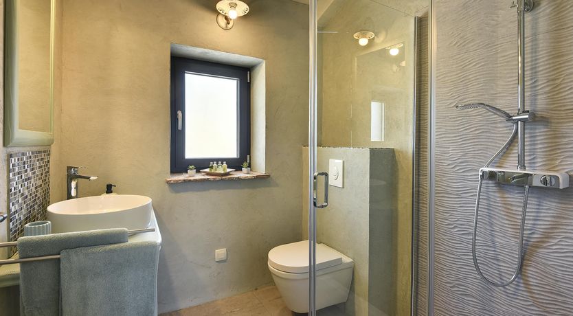 Photo of The Trees of the Moon