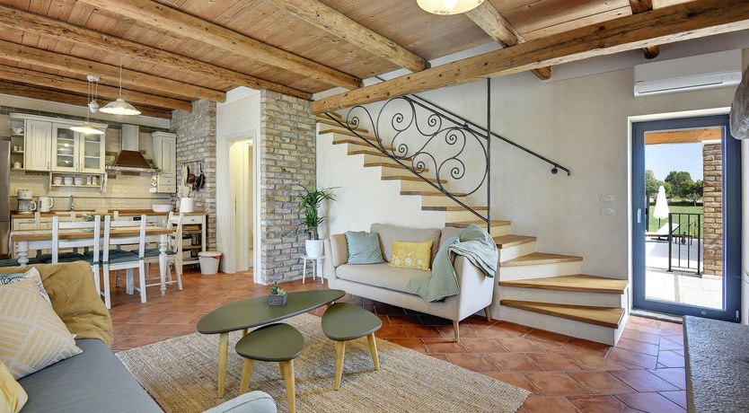 Photo of The Trees of the Moon