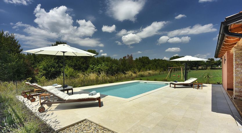 Photo of The Trees of the Moon