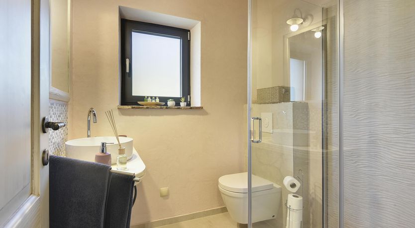 Photo of The Trees of the Moon