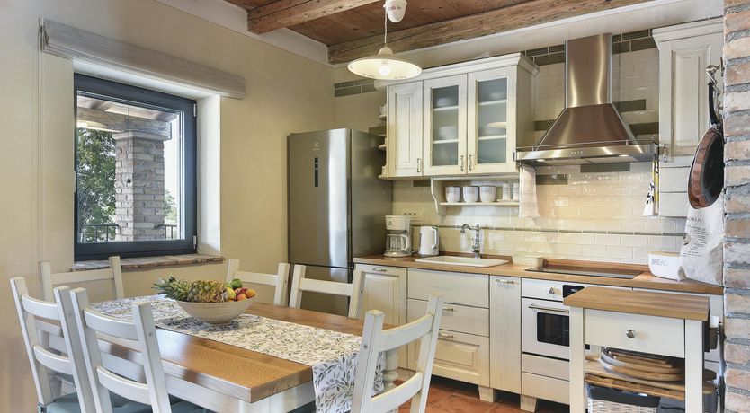 Photo of The Trees of the Moon