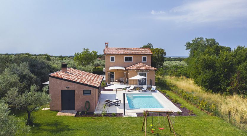 Photo of The Trees of the Moon