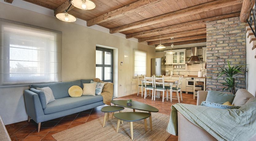 Photo of The Trees of the Moon