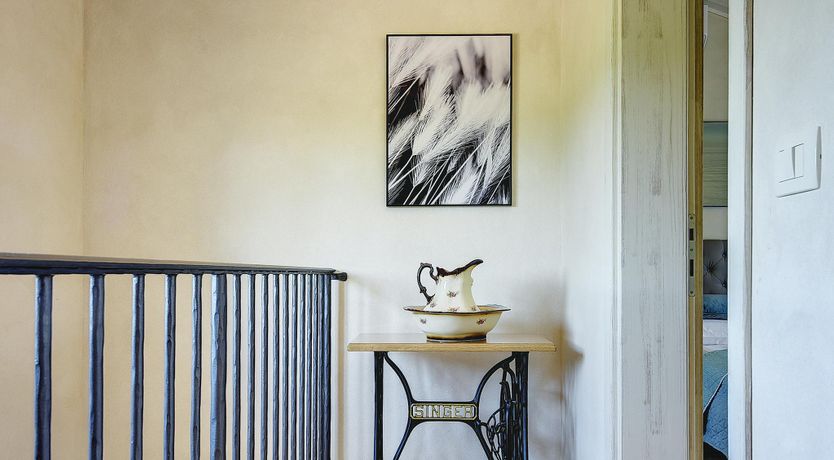 Photo of The Trees of the Moon