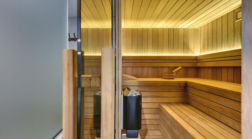 Photo of The Trees of the Moon