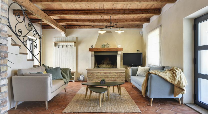 Photo of The Trees of the Moon