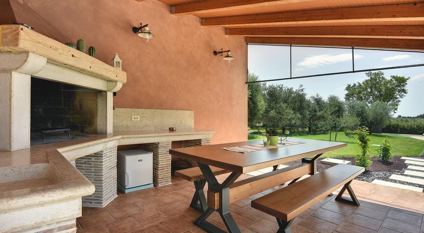 Photo of The Trees of the Moon