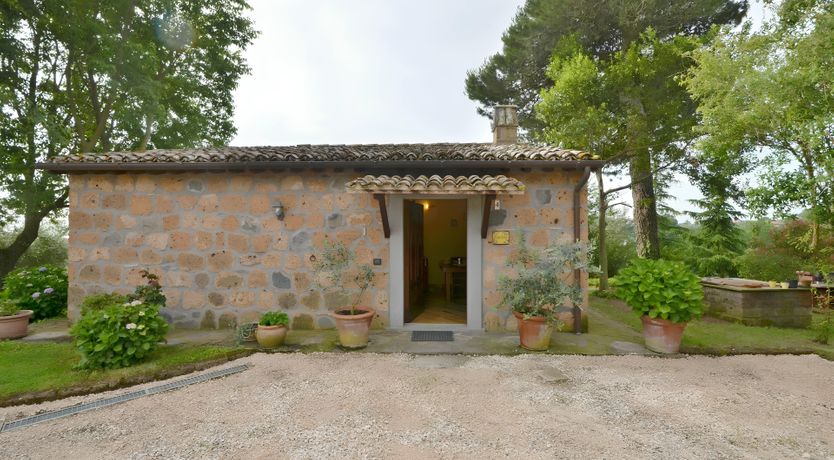 Photo of Olive & Vine