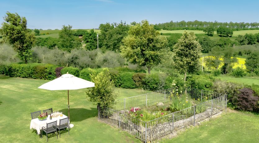 Photo of Olive & Vine