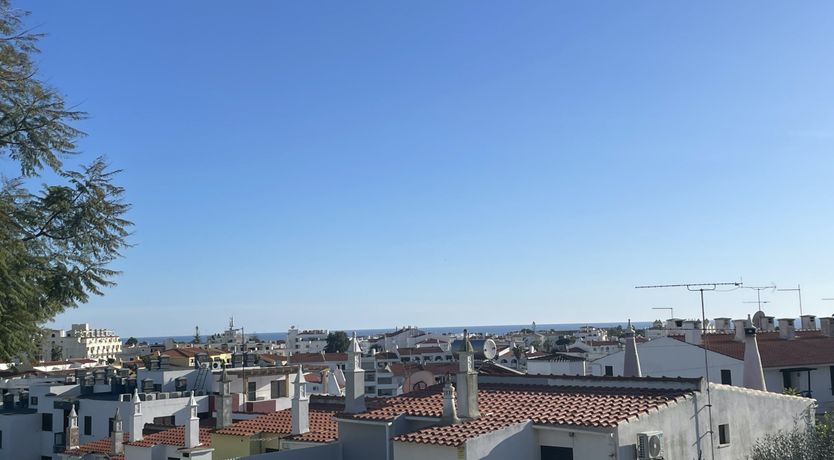 Photo of Sun-Scented Eyes