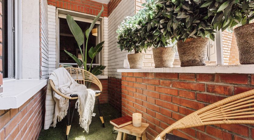 Photo of Jungle Vibes