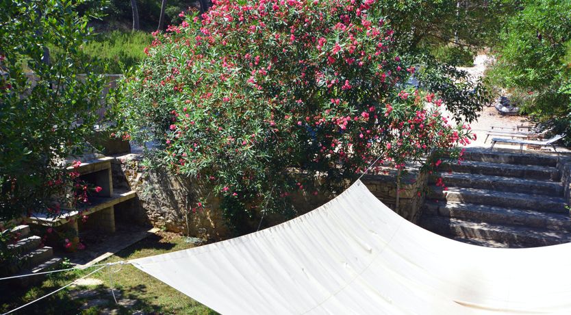 Photo of Warmest Affection