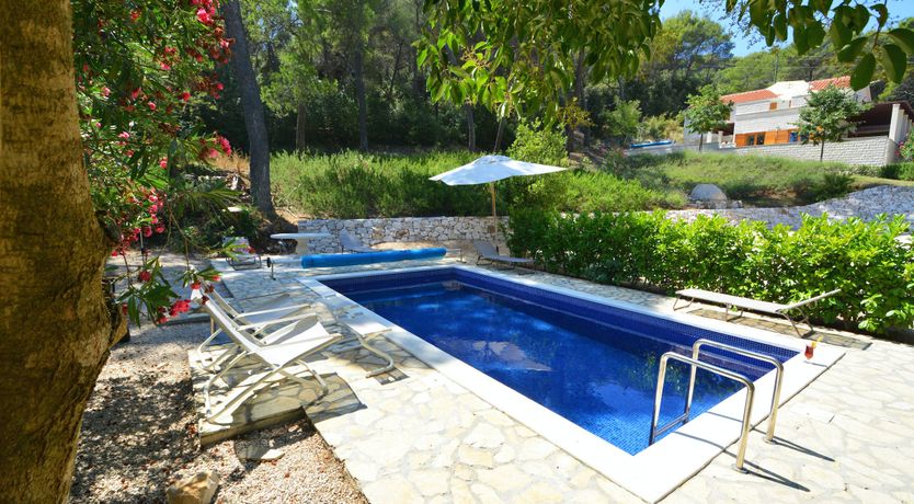 Photo of Warmest Affection