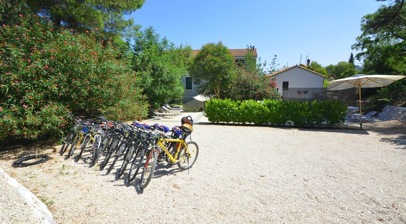 Photo of Warmest Affection