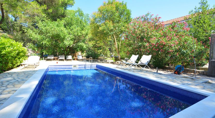 Photo of Warmest Affection