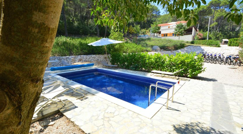 Photo of Warmest Affection