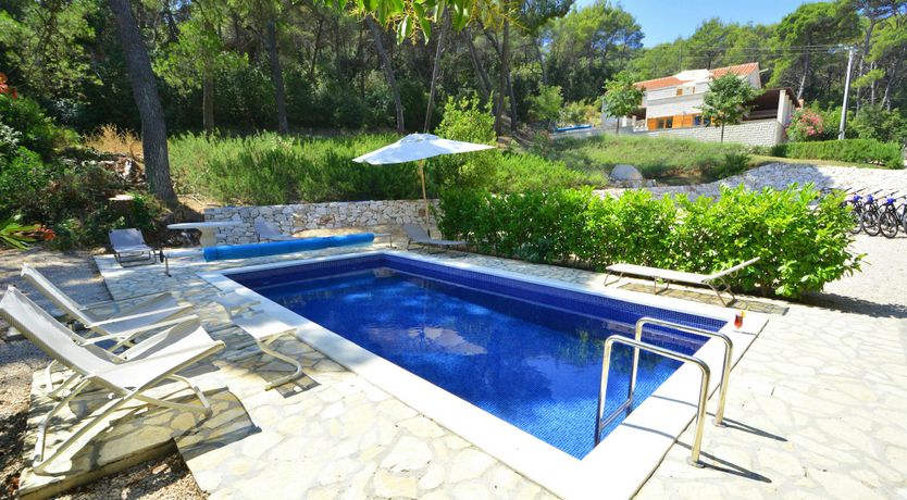 Photo of Warmest Affection