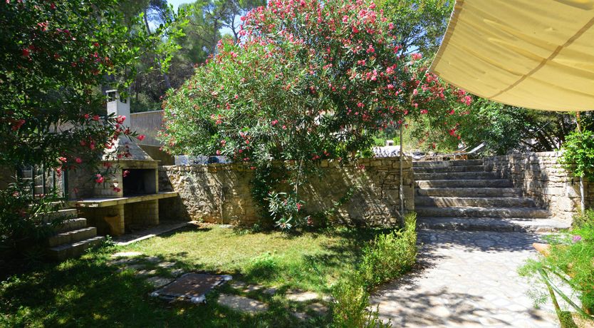 Photo of Warmest Affection