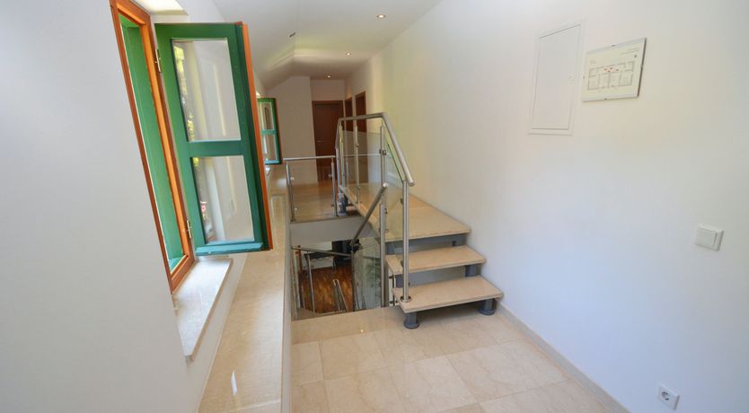 Photo of Warmest Affection